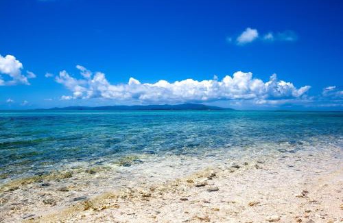 Taketomi-jima Taketomi-cho House | Family-Friendly Palm Tree Hotel with 9.7/10 Guest Rating