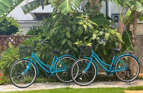 Taketomi-jima Taketomi-cho House | Family-Friendly Palm Tree Hotel with 9.7/10 Guest Rating