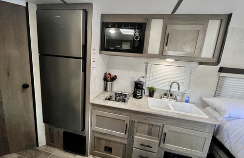 Ybor City House | Family-Friendly Palm Tree Paradise Campground - Rated 10/10!