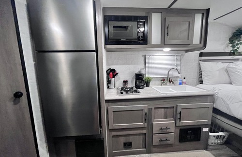 Ybor City House | Family-Friendly Palm Tree Paradise Campground - Rated 10/10!