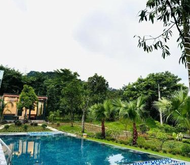 Soc Son Villa | Palm Villa - Venuestay
