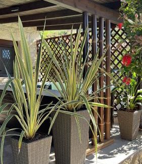 Sarti Apartment | Inviting Palma Beach House - Kid-Friendly with Top Reviews