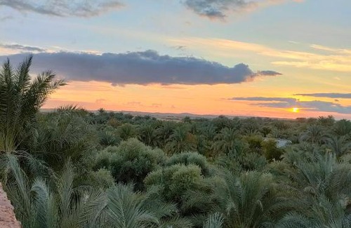 Siwa Apartment | Family-Friendly Palma Garden: Pet and Kid Approved Stays