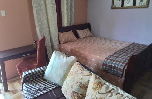 Jerningham Junction Apartment | Palmarie: Oceanfront Retreat with Spa and Pool Access