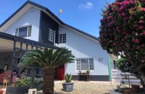 Balashi Apartment | Oceanfront Palmhouse Aruba for 1-2 Guests with Pool