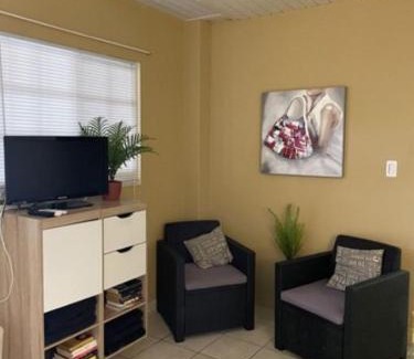 Balashi Apartment | Oceanfront Palmhouse Aruba for 1-2 Guests with Pool