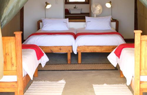 Palmwag Other | Experience Palmwag Camping2Go: Family-Friendly Getaway