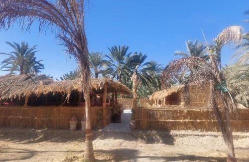 Siwa Other | Budget-Friendly Paloma Camp: Ideal for Families and Pets