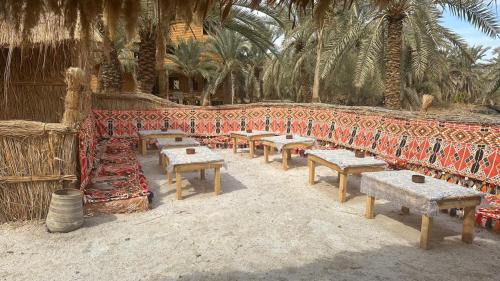 Siwa Other | Budget-Friendly Paloma Camp: Ideal for Families and Pets