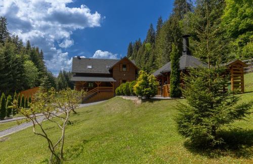 Joseni House | Experience Comfort at Paltán Vendégház - Pet Friendly Stay