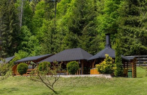 Joseni House | Experience Comfort at Paltán Vendégház - Pet Friendly Stay