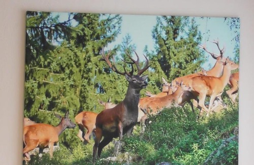 Leopoldschlag Hotel | Discover Gasthof Pammer: Family-Friendly & Pet Welcoming