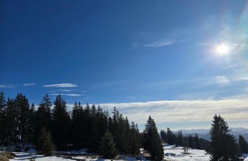 Pamporovo Apartment | Pampo-Heaven