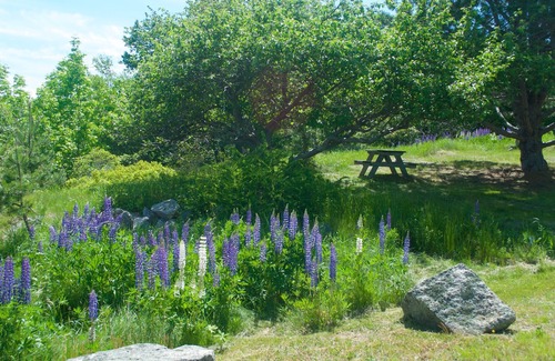 Hall Quarry House | Scenic Somes Sound Oceanfront Retreat with Mountain Views
