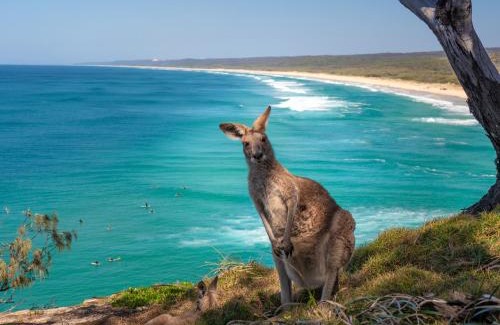 Point Lookout Resort | Pandanus Palms Holiday Resort: Oceanfront Family Retreat