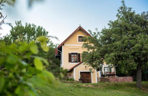 Balatonszepezd House | Scenic Vincellérház - Balatonszepezd, Pet & Child Friendly
