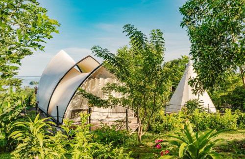 Dinh Quan Other | Discover Panorama Glamping: Pet-Friendly Oceanfront Escape