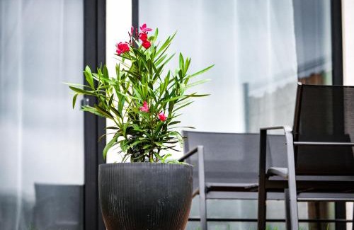 Bystrany Apartment | Panorama Luxury House