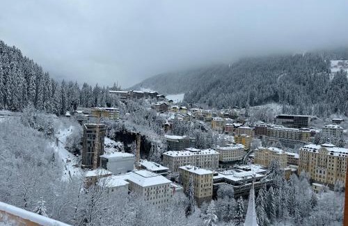 Bad Gastein Apartment | Relax at Panorama & SPA Apartment Kaiser Franz Josef I