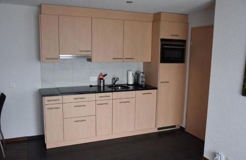 Les Mayens-de-Sion Apartment | Experience Panoramachalet: Oceanfront Bliss with Breakfast