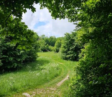 Bukkszentkereszt Apartment | Cozy Holiday Home in the Buchen Mountains, Pet Friendly
