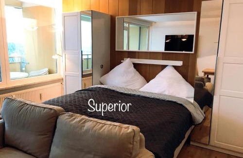 Hohegeiß Apartment | Pet-Friendly Panoramic Apartments in Hohegeiß with Pool