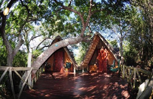 Thorny Bush Game Reserve Resort | Panzi Lodge: Oceanfront Retreat with Pool & Family Amenities