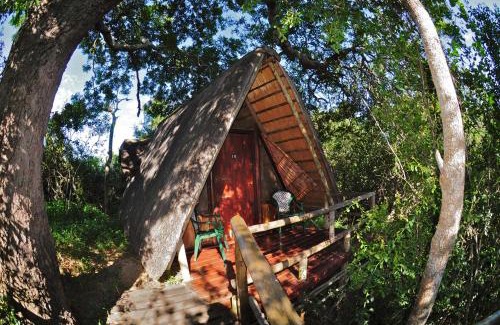 Thorny Bush Game Reserve Resort | Panzi Lodge: Oceanfront Retreat with Pool & Family Amenities