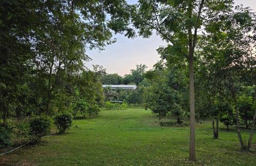 Suan Phueng House | Budget-Friendly Papa Vacay with Kitchen & Wheelchair Access