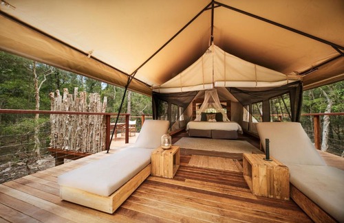 Woollamia Resort | Experience Nature's Retreat at Paperbark Camp - 10/10 Rating