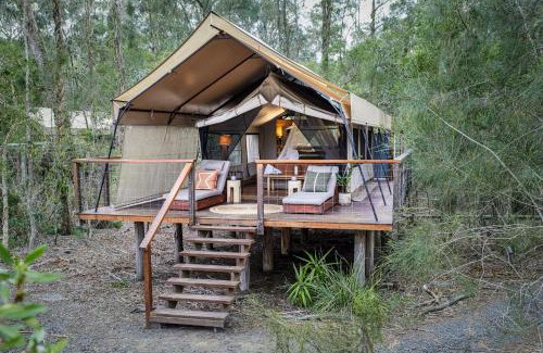Woollamia Resort | Experience Nature's Retreat at Paperbark Camp - 10/10 Rating