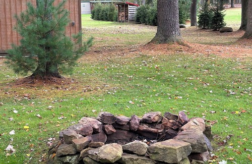 Clarington Cabin | Inviting Cooks Forest Cottage with Kitchen & Pet-Friendly Perks