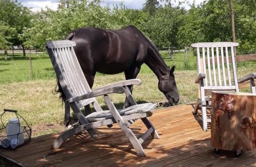 Saint-Martin-aux-Chartrains Bed & Breakfast | Exceptional Stay at Par Hasard ou Pas - Rated 9.6/10