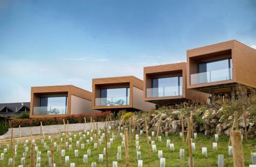 Lamego Cabin | Experience Paraíso Douro AL: Oceanfront Bliss Awaits