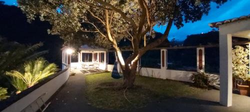 Faial House | Resilient Paradise: Pet & Child Friendly Getaway Awaits