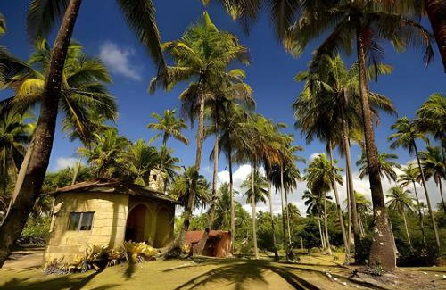 Marau House | Explore Casa Capela Praia de Algodões - Family and Pet Friendly