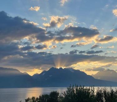 Lyngen House | Discover a Paradise with Family and Pet-Friendly Amenities