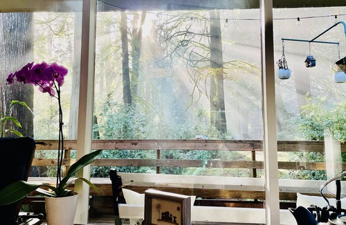 Burley Cabin | Paradise Cabin! Gated community/Close to the beach.