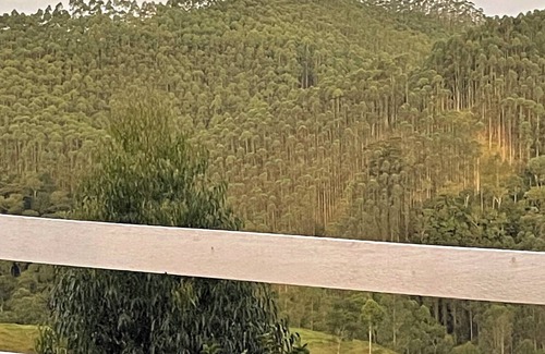 Rio Preto Ski Chalet | Serene Jungle Chalet: Pet-Friendly with Breakfast Included