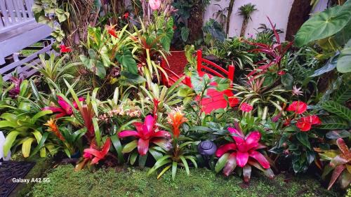 Hilo House | Oceanfront Paradise Cottage at Anthurium Hale - Rated 9.6/10