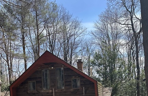 Bemus Point Cabin | Paradise Lodge at Bemus Point! A cozy, private, wooded retreat close to it all!
