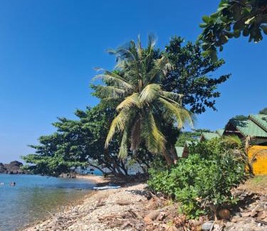 Ko Chang Resort | Beachfront Paradise Palms: Guest Rated 9.4/10