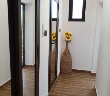 Polski Trambesh House | Discover Paradise Park: Oceanfront Bliss for Every Traveler