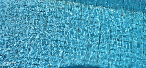 Al-'Amriyah Villa | Pet-Friendly Paradise Villa with Pool in King Mariout