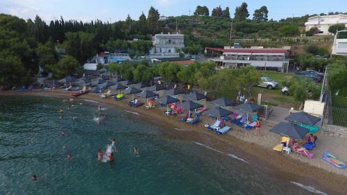 Paradhisos Apartment | Beachfront Escape at Paradisos Holiday - 8.5/10 Rated Stay