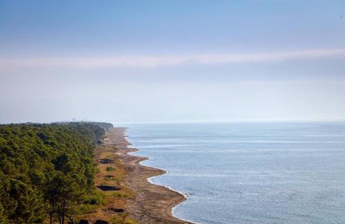 Shekhvetili Hotel | Indulge at Paragraph Resort & Spa Shekvetili, 5-Star Escape