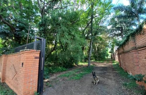 Posadas Apartment | Riverside Bliss at Parana Guest House - 4-Star & Family-Friendly