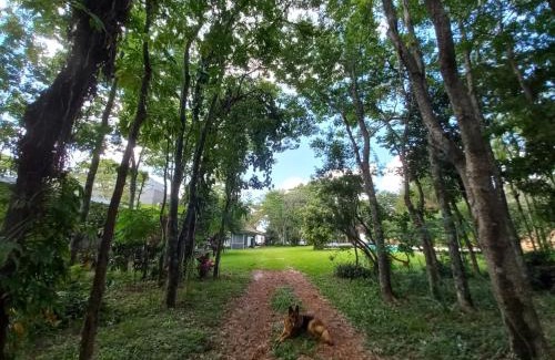 Posadas Apartment | Riverside Bliss at Parana Guest House - 4-Star & Family-Friendly