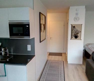 Hyvinkaa Apartment | Modern Parantolankatu One-Room Apartment with Great Amenities