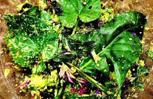 Vancia - Crepieux Bed & Breakfast | Discover Villa Castel: Oceanfront Haven with Pool & Dining